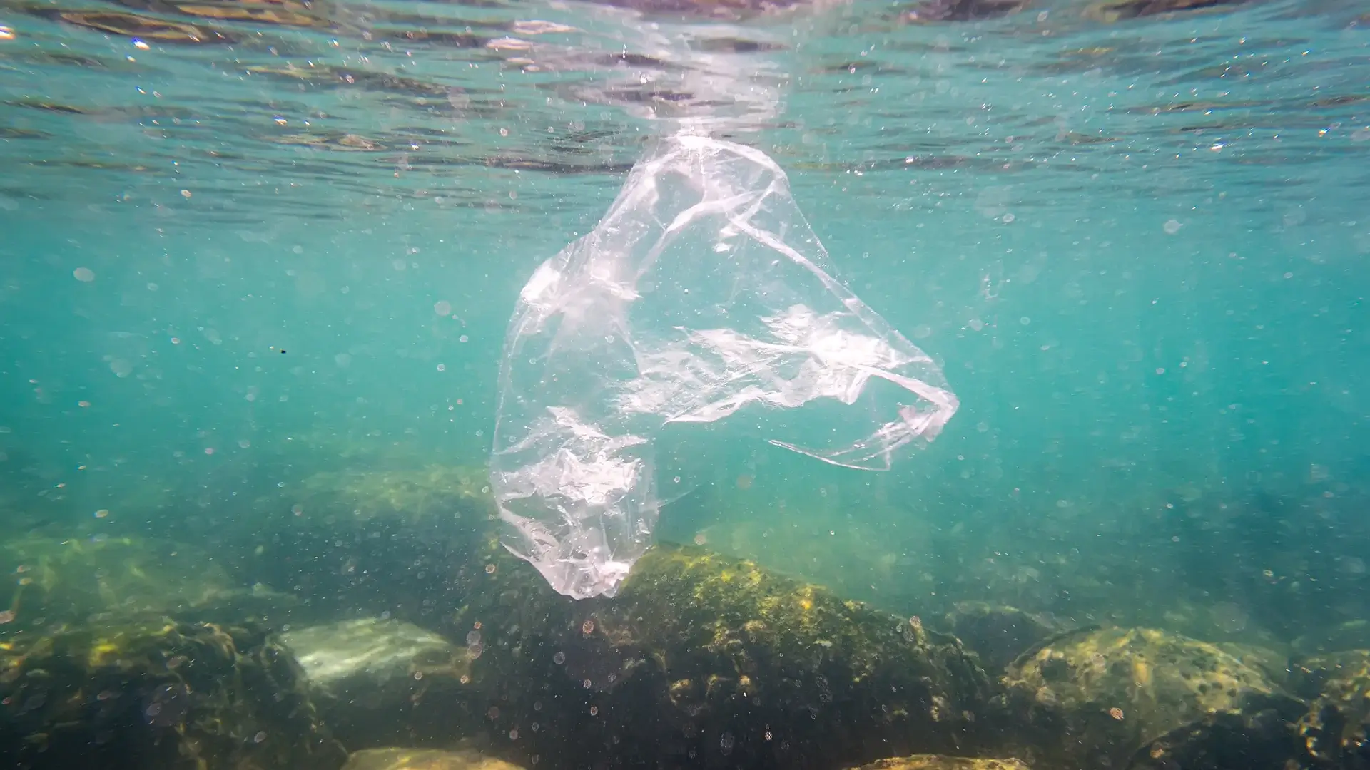 Saco plástico transparente flutuando submerso na água do mar, com luz solar penetrando a superfície e destacando o resíduo poluente.